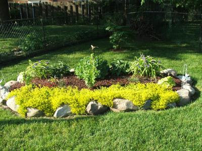 2 picking the right supplies. Perennial Rock Garden
