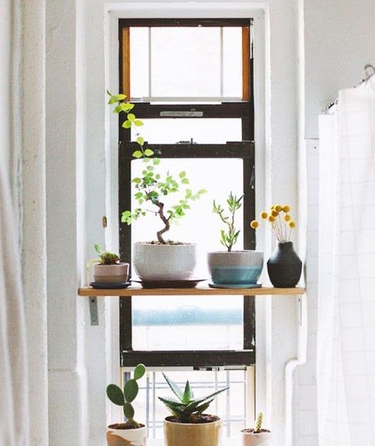 Bathroom Window Sill Decor Ideas - BATHROOM DESIGN