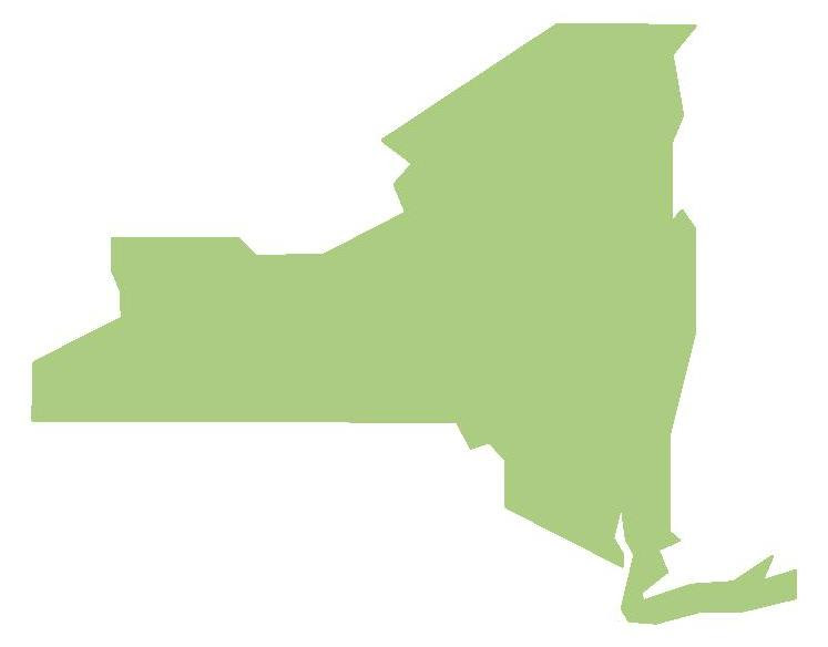 New York State Map