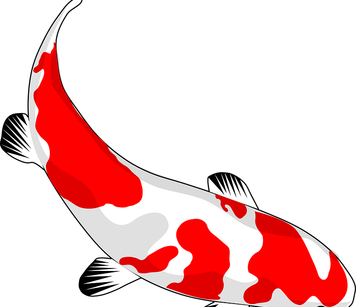 35 Trend Terbaru Gambar Ikan Mas Koi Animasi Amanda T 