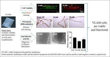 Graphical abstract for this article