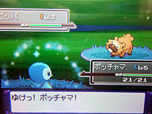 最高 ポケモン プラチナ ポッチャマ 100 で最高の画像