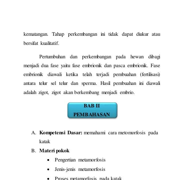 Contoh Hewan  Yang  Mengalami Metamorfosis Sempurna Adalah  