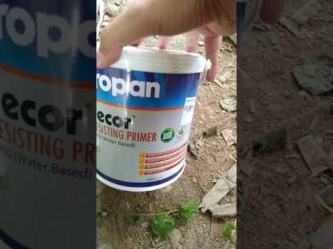 Inspiration Cat  Dasar  Dinding Alkali PROPAN Video harga  