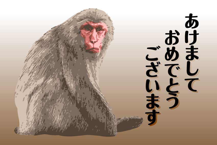 最高の猿 イラスト リアル 最高の動物画像