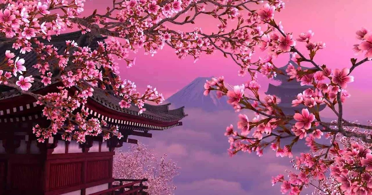  Gambar  Wallpaper Bunga  Sakura  Pink