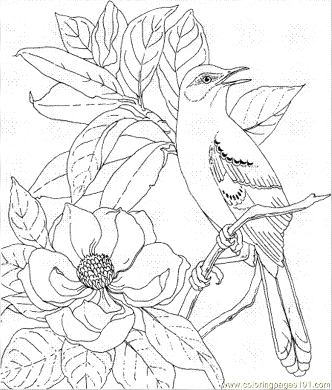 Download Natural Scenery Nature Coloring Pages For Kids Drawing With Crayons