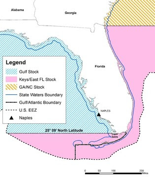 hogfish map