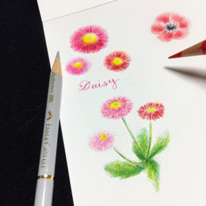 かわいいディズニー画像 ラブリーかわいい 花 イラスト 色鉛筆