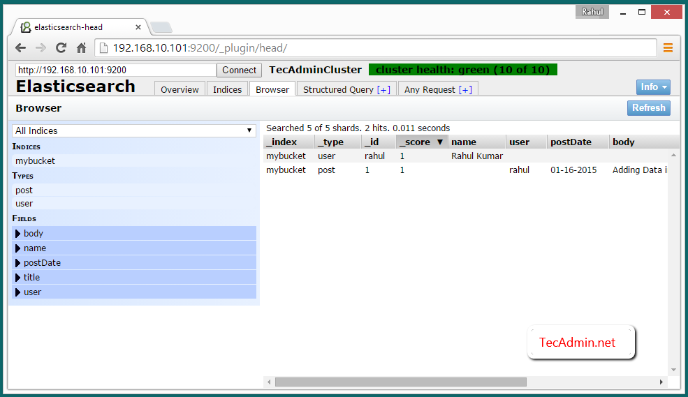 data in elasticsearch cluster