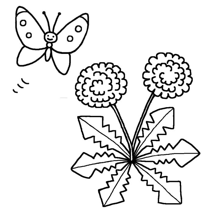 美しい花の画像 最高のたんぽぽ イラスト 白黒