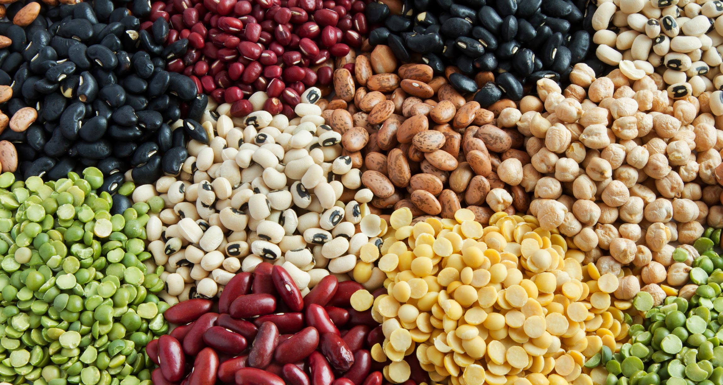 display of a variety of beans