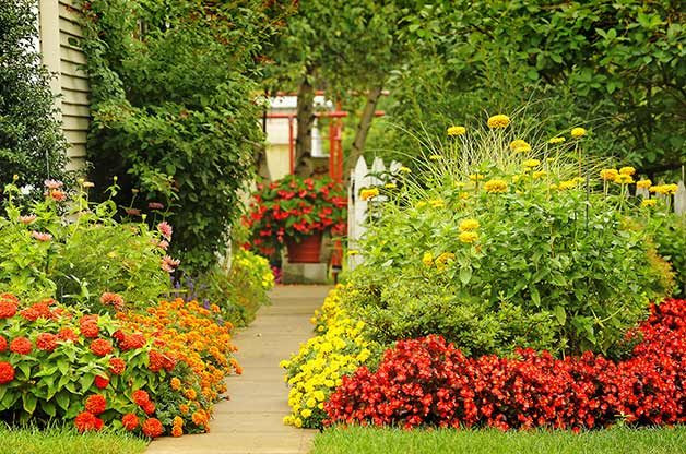 Gardening Basics to Keep Plants Healthy