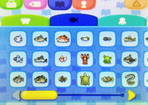 とび森 虫 魚 図鑑 プログラム ニュース