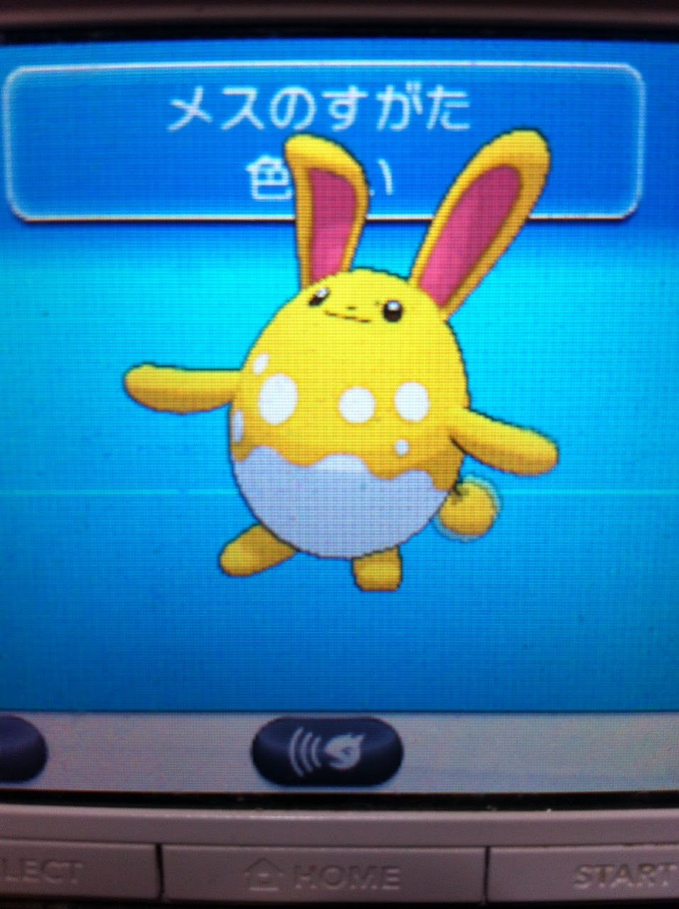ポケモン Xy タマゴ 色 違い 最高のキャラクターイラスト