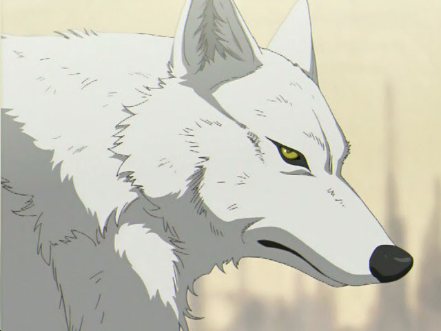 Anime black and white wolf wallpaper is free hd wallpaper. Wolfe In Anime Wolfe Image 16961910 Fanpop