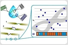 Fighting Counterfeit with Carbon Nanotubes