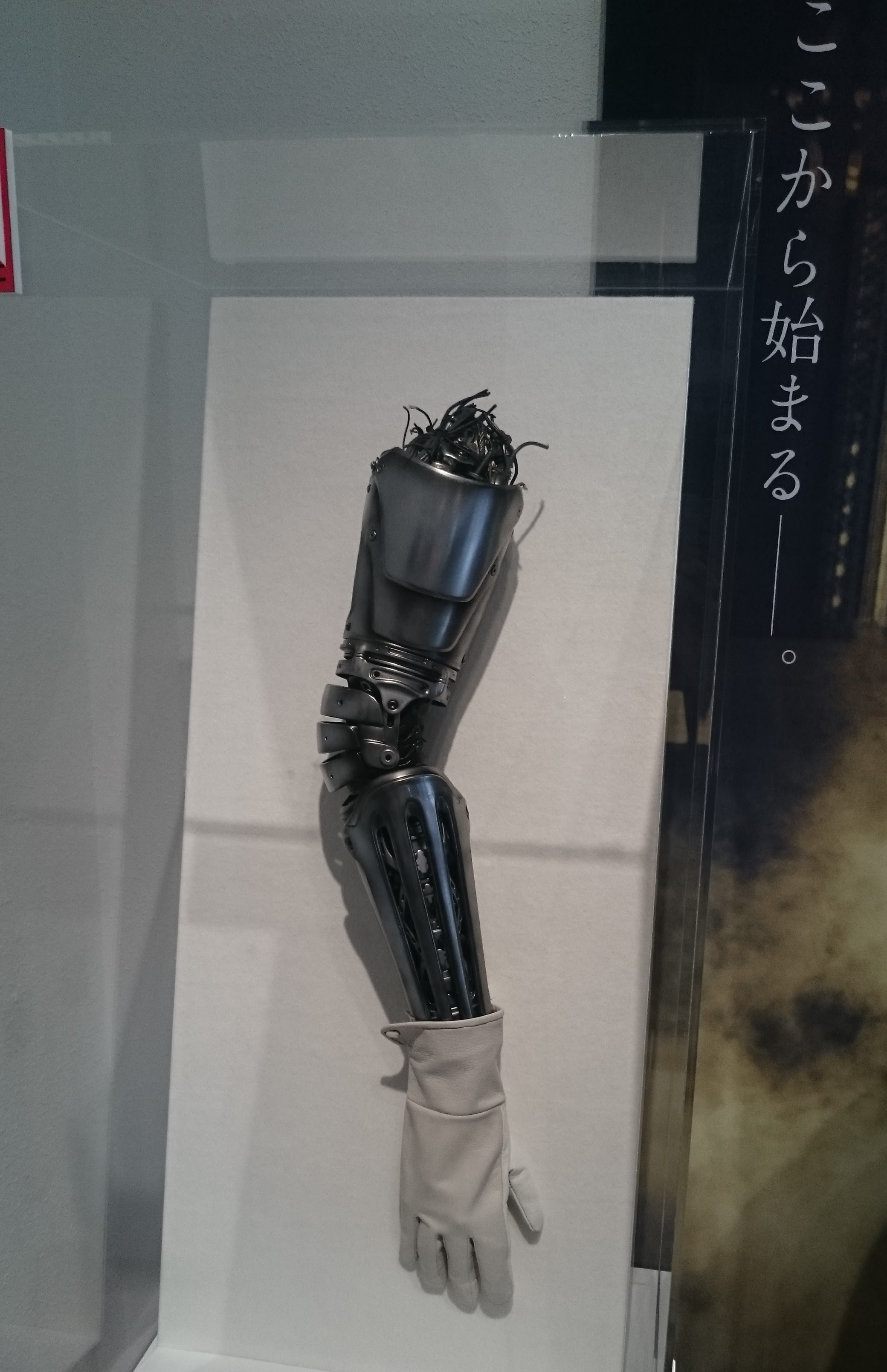 最高の鋼の錬金術師 壁紙エド 最高の花の画像