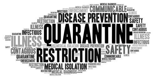 Quarantine, From FlickrPhotos