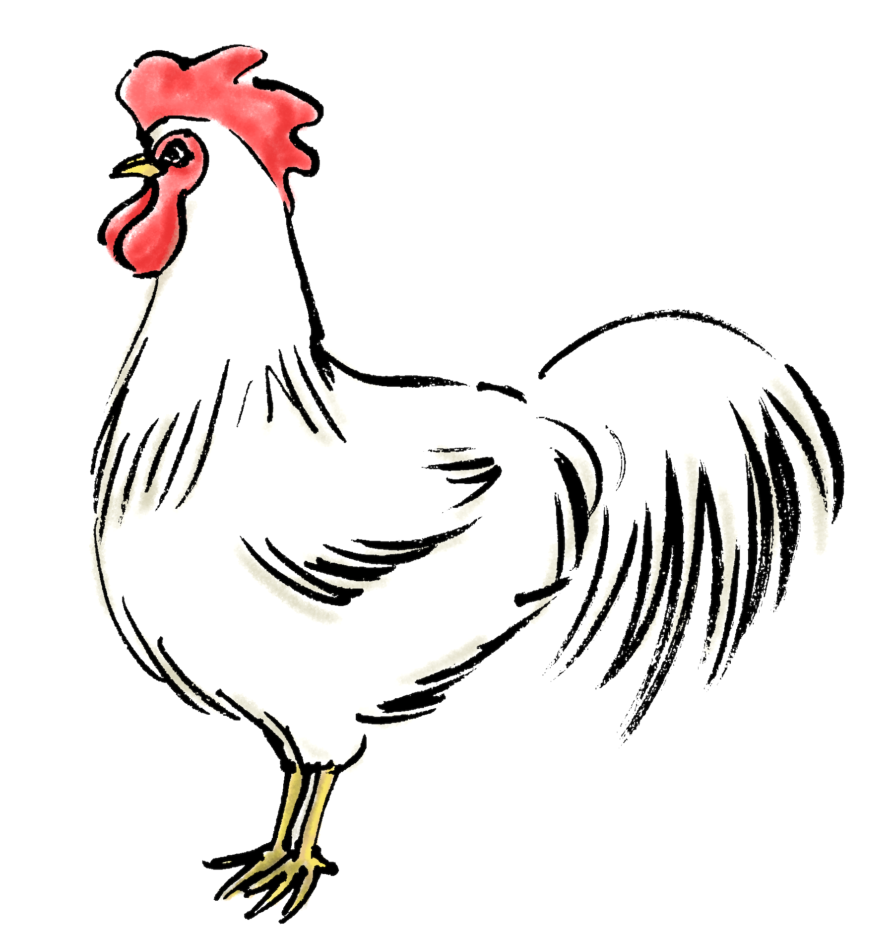 最高のイラスト 鶏の絵 最高の動物画像
