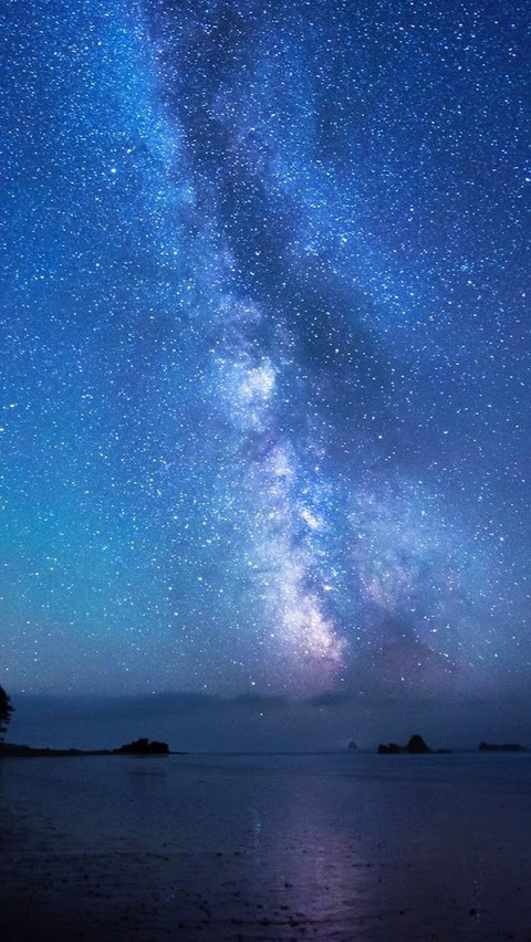 最高かつ最も包括的なiphone 壁紙 夜空 高画質 美しい花の画像