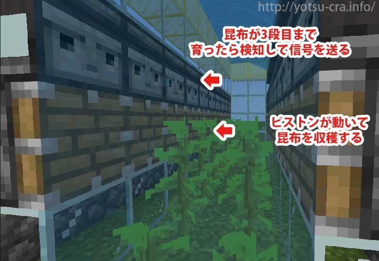 最高のマインクラフト 最新のhdマイクラ 昆布 成長 遅い
