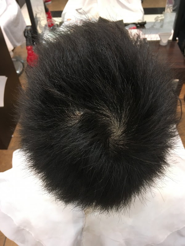 最高かつ最も包括的なつむじ 2 つ 髪型 男 最高のヘアスタイルのアイデア