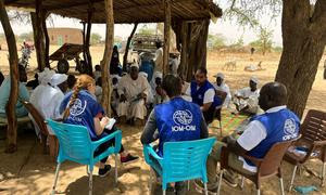 Equipos de la OIM asisten a refugiados sudaneses en la frontera entre Sudán y Chad. (archivo)