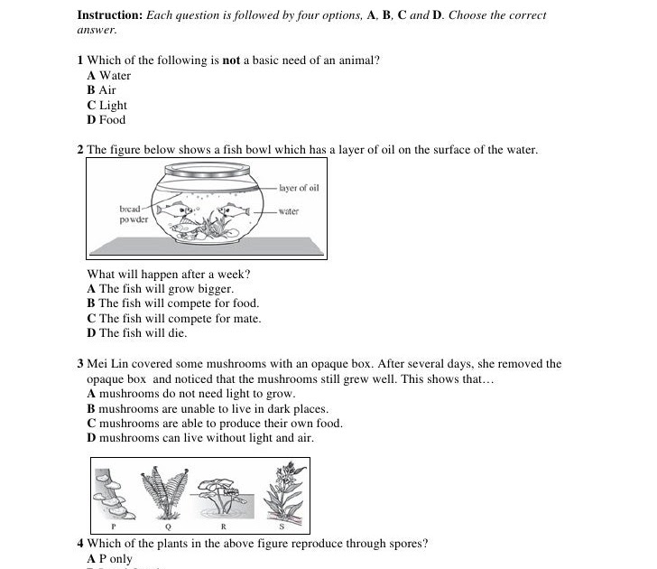 Soalan Matematik Tahun 4 Dlp - Persoalan p