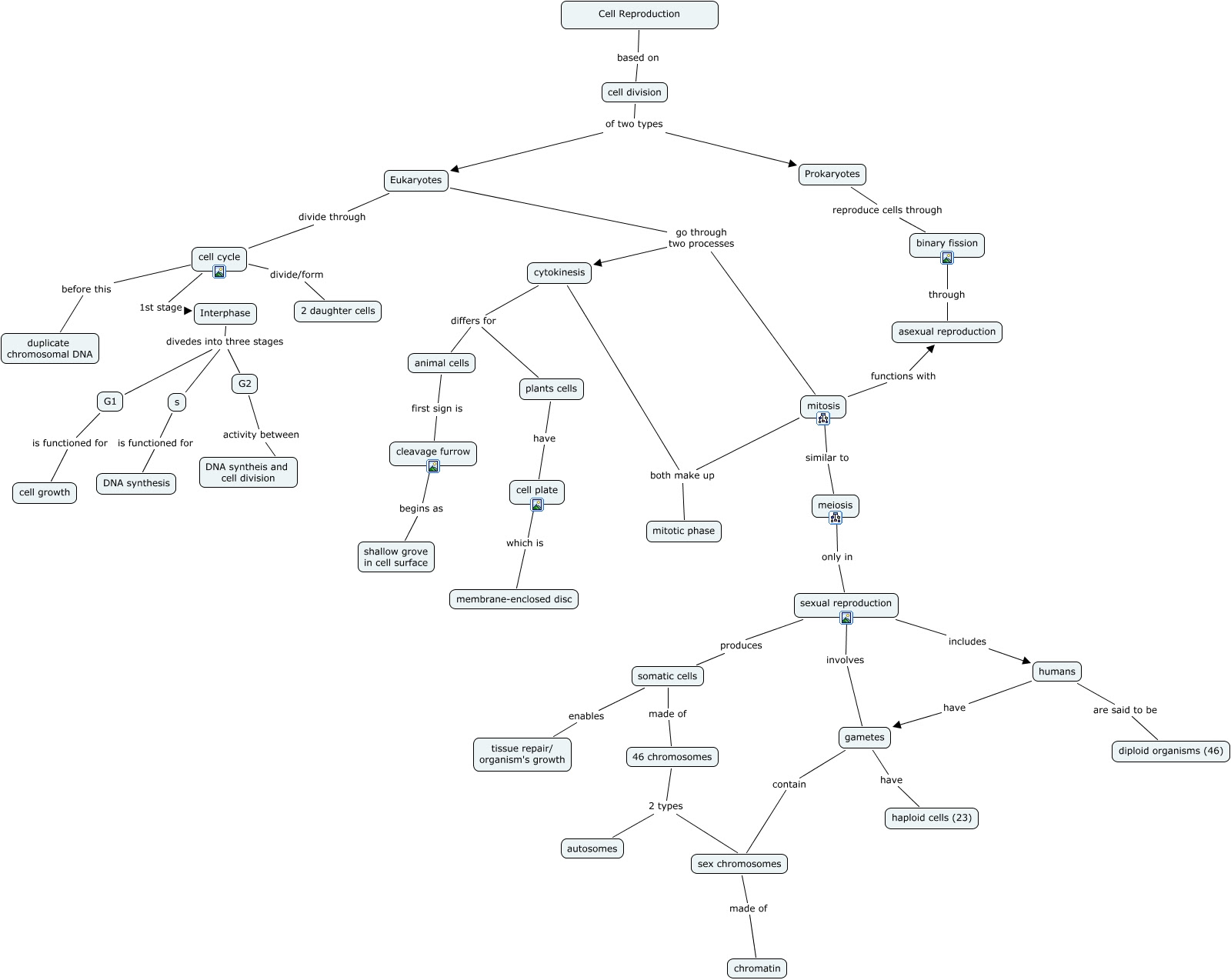 Cell Reproduction Concept Map Answers Cell Reproduction Concept Map Answers | Campus Map