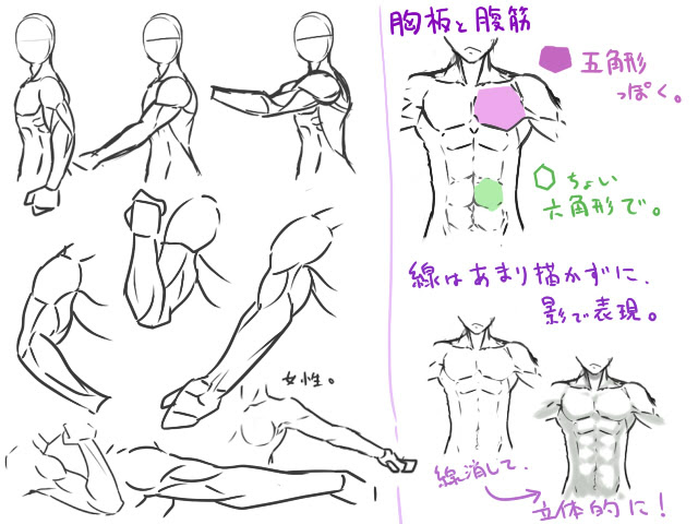 最新 マッチョ 腕 筋肉 イラスト ここで最高の画像コレクション