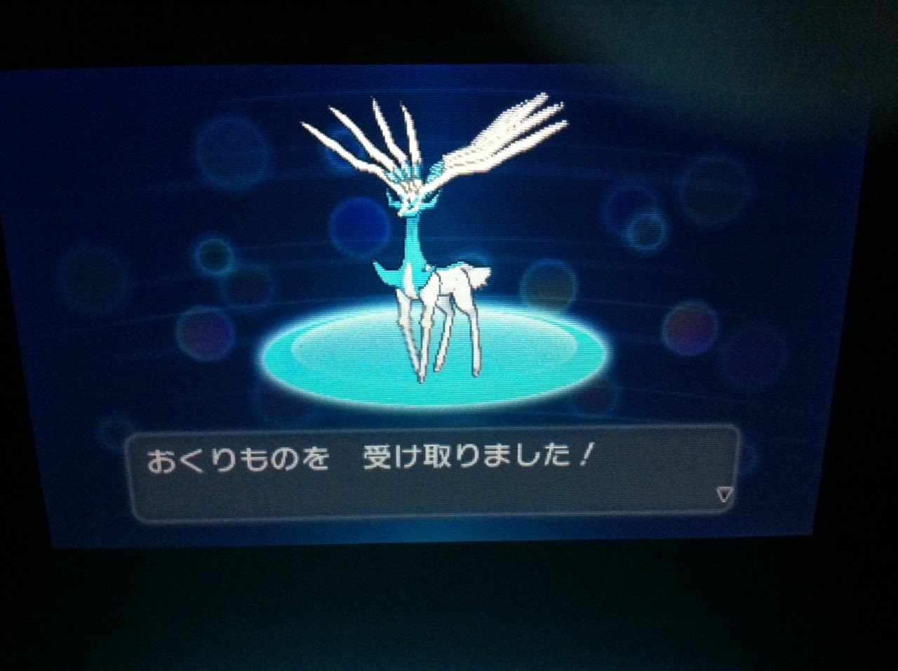 ポケモン 色違いゼルネアス シリアルコード 最高のイラストと図面