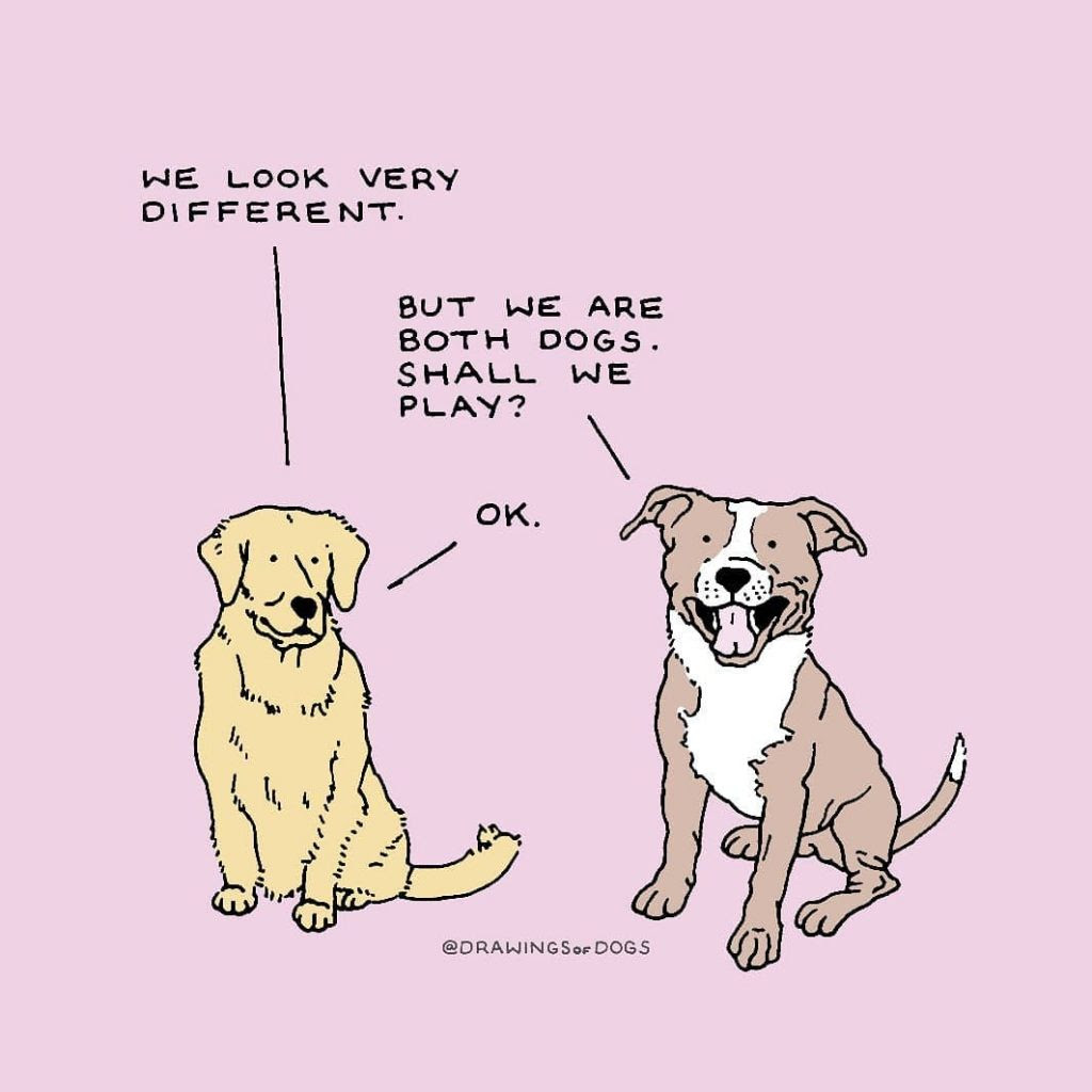 To compete, groomers transform their dogs into art. Drawings Of Dogs And The Illustrations Created To Appease Anxiety Collater Al