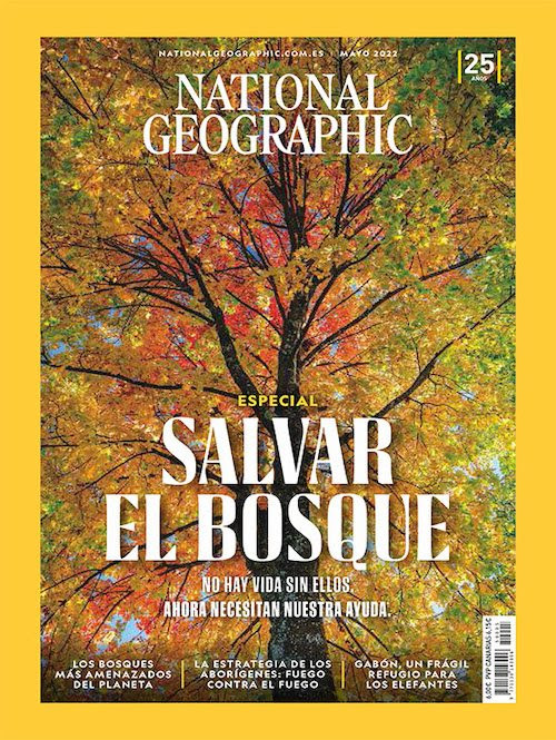 Salvar el bosque