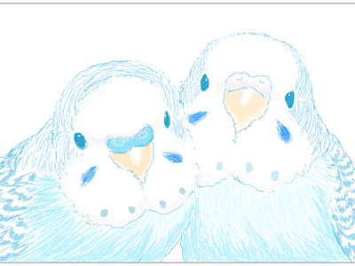 [最も共有された！ √] 壁紙 インコ イラスト かわいい 309121