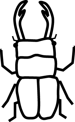 トップ100 クワガタ イラスト かわいい 美しい花の画像