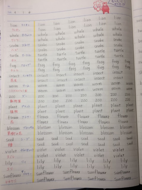 英語 単語 勉強 ノート 英語 単語 勉強 ノート