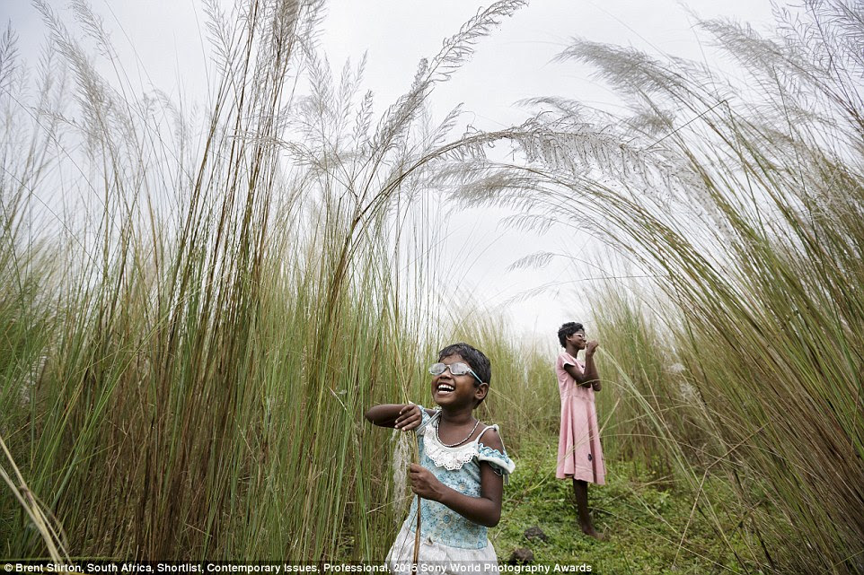 Success: Sonia and Anita pictured in a field of long grass, enjoying the sights after the surgery enabled them to see for the first time
