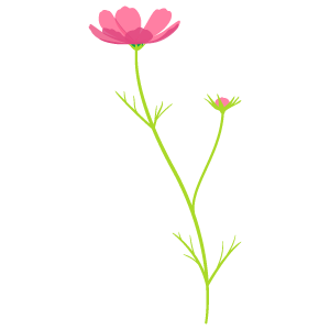トップ100 コスモス 花 イラスト 美しい花の画像