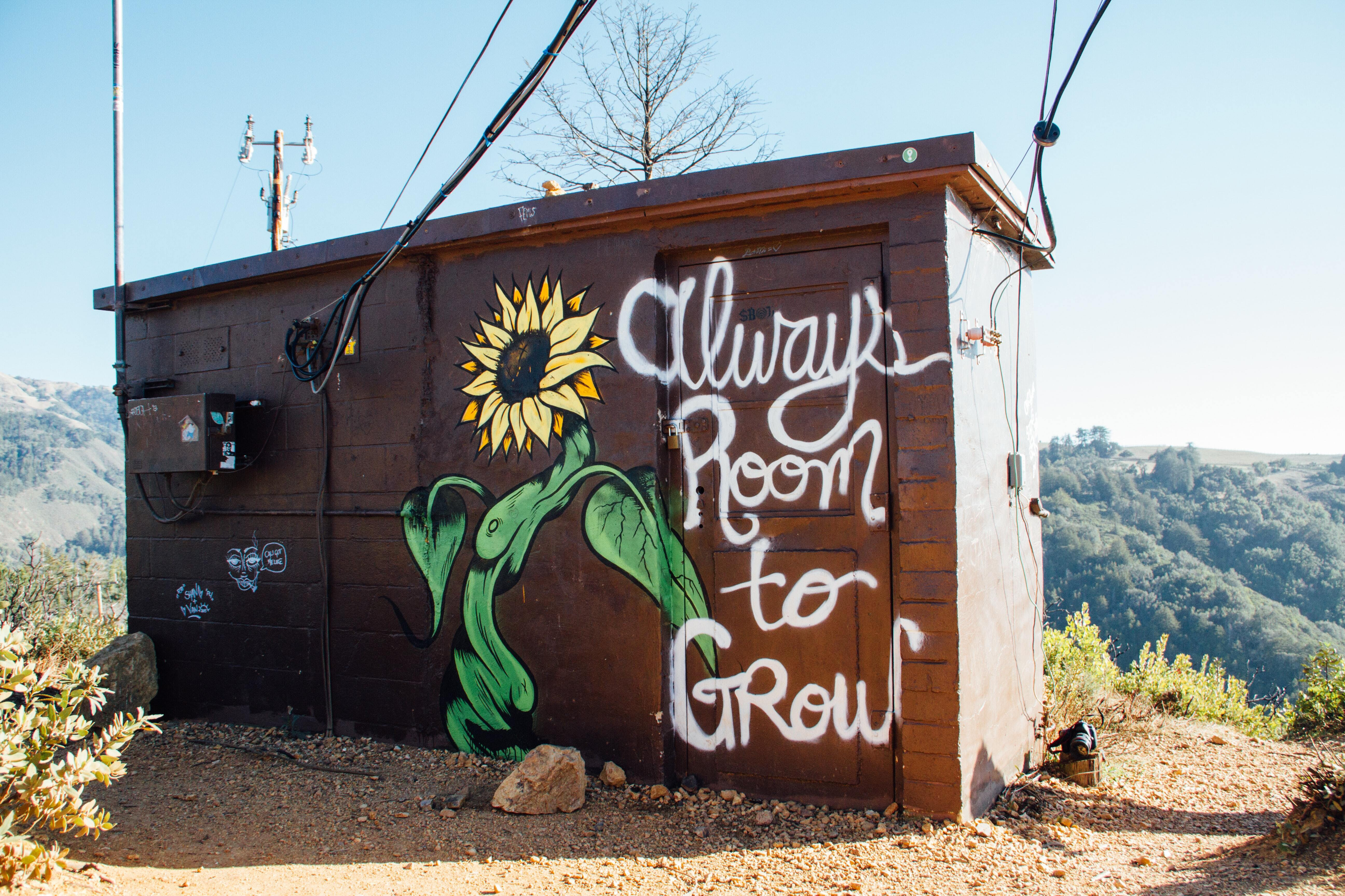 Photo of a small hut on a hilltop, with the words "always room to grow" spraypainted on, next to a painting of a sunflower