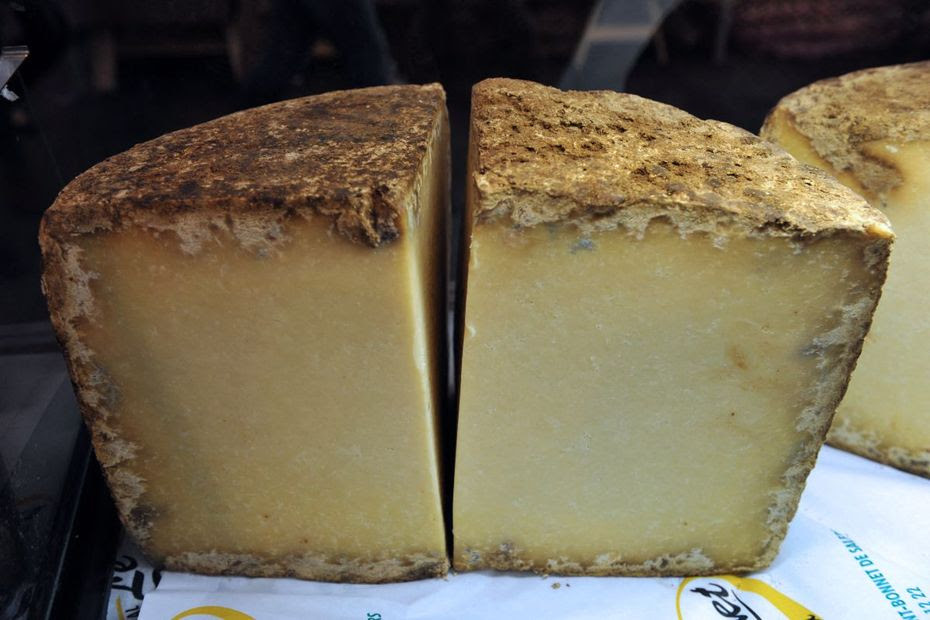 Bactéries, moisissures, acariens : ces microorganismes qui subliment les fromages d’Auvergne