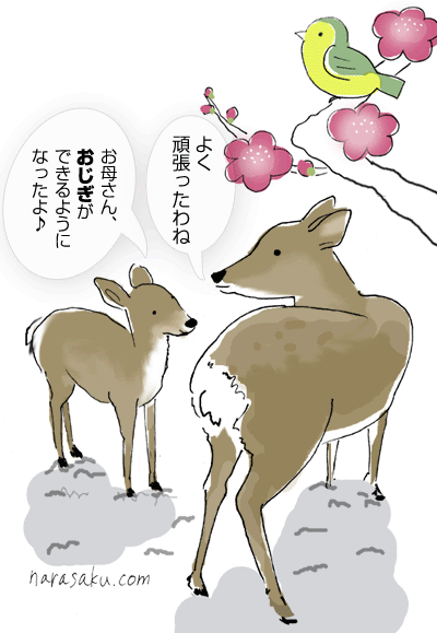 ロイヤリティフリー奈良 鹿 イラスト かわいい アニメ画像