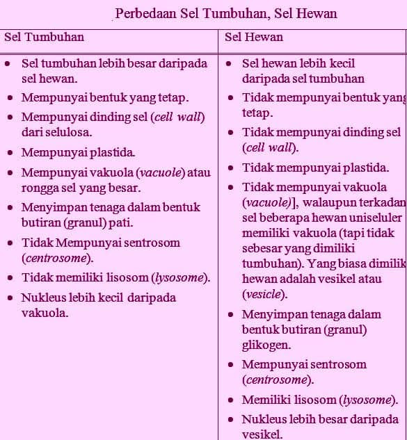 Gambar Ilustrasi Hewan Dan Tumbuhan - Koleksi Gambar HD