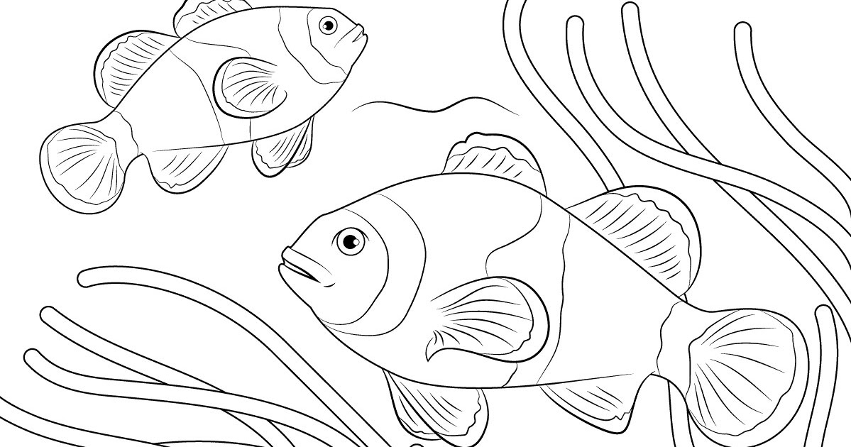 Contoh Gambar Ilustrasi Ikan | Hilustrasi