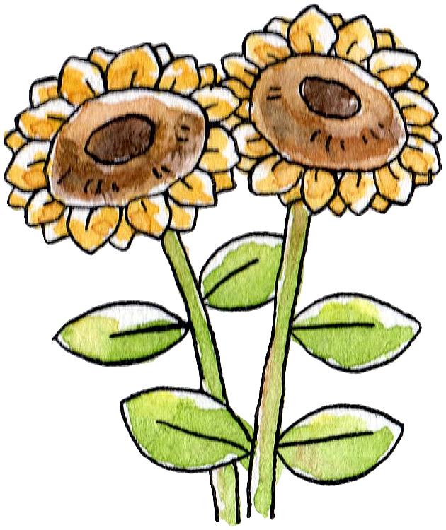 最新のhdひまわり イラスト かわいい ただのディズニー画像