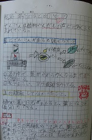 トップ100自主学習ノート 3年生理科 最高のぬりえ