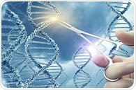 Genetic factors linked to obesity may lower metabolic risk