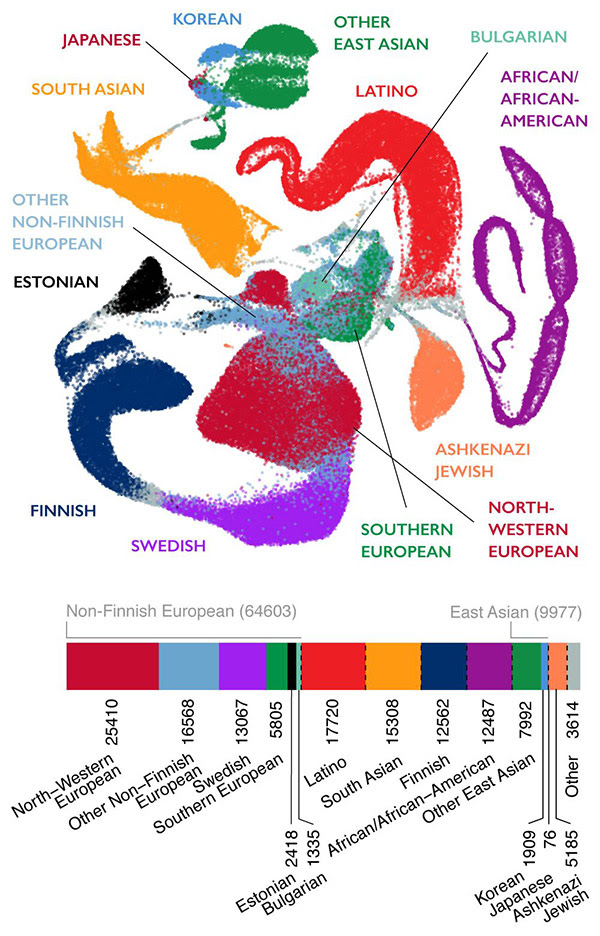 Science figure showing genetic data.