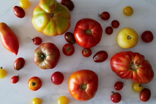 How to Keep Tomatoes Fresh for Longer