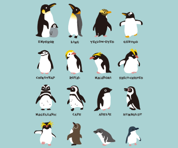 動物画像無料 おしゃれ かっこいい ペンギン イラスト